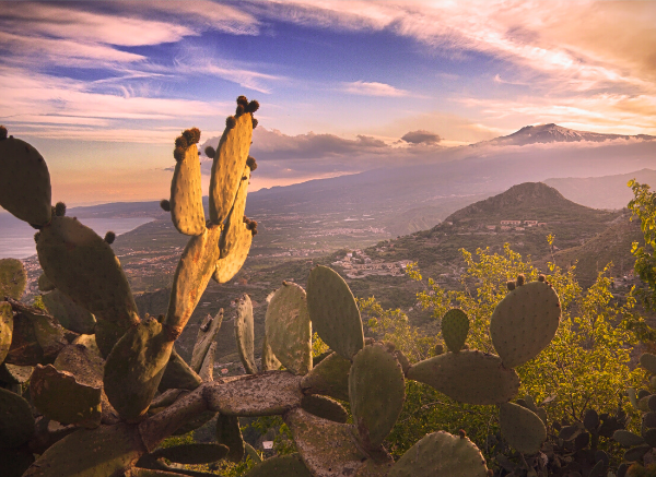 A journey through Sicily - and how beauty will save the world 